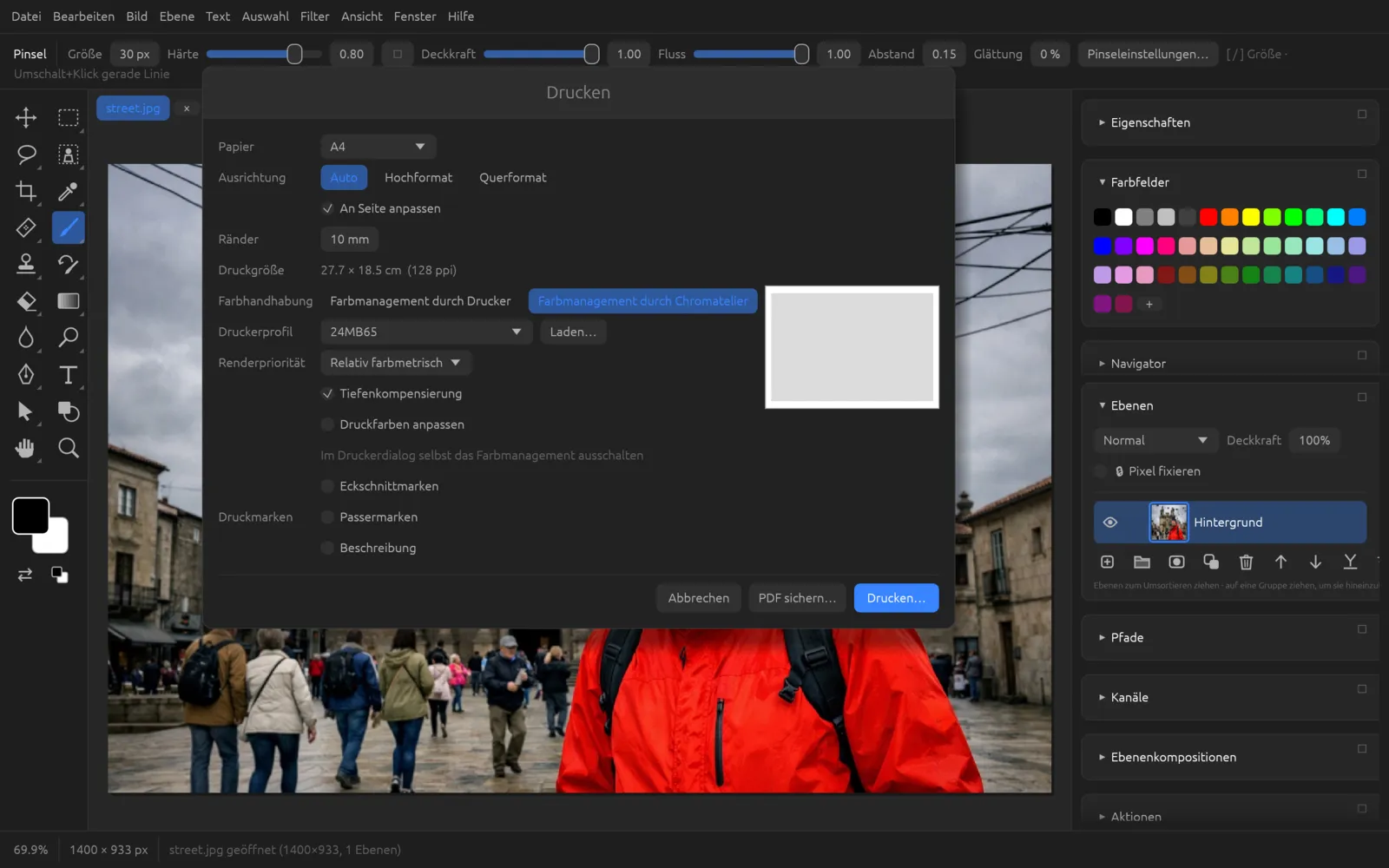 Dialog Drucken mit Farbmanagement durch Chromatelier, Druckerprofil und Renderpriorität