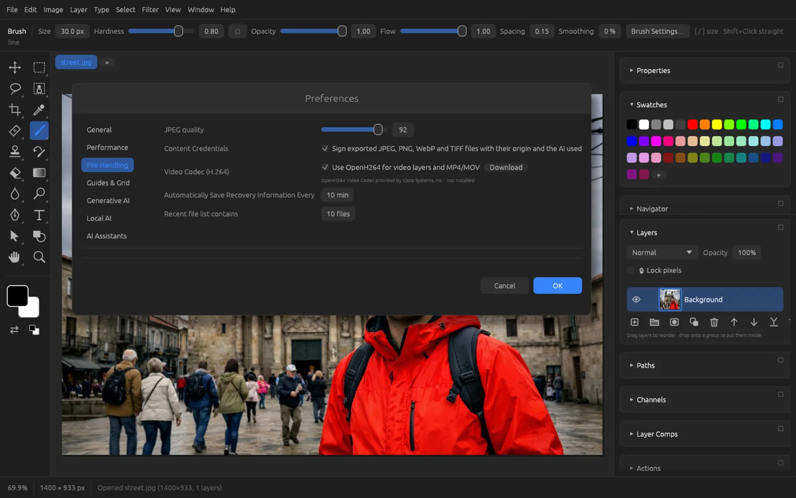 Preferences, File Handling section, with the Video Codec (H.264) row