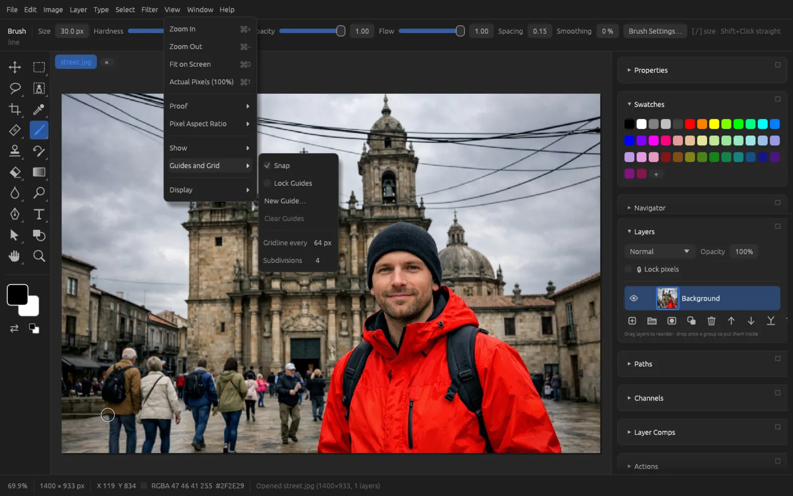 The View › Guides and Grid submenu
