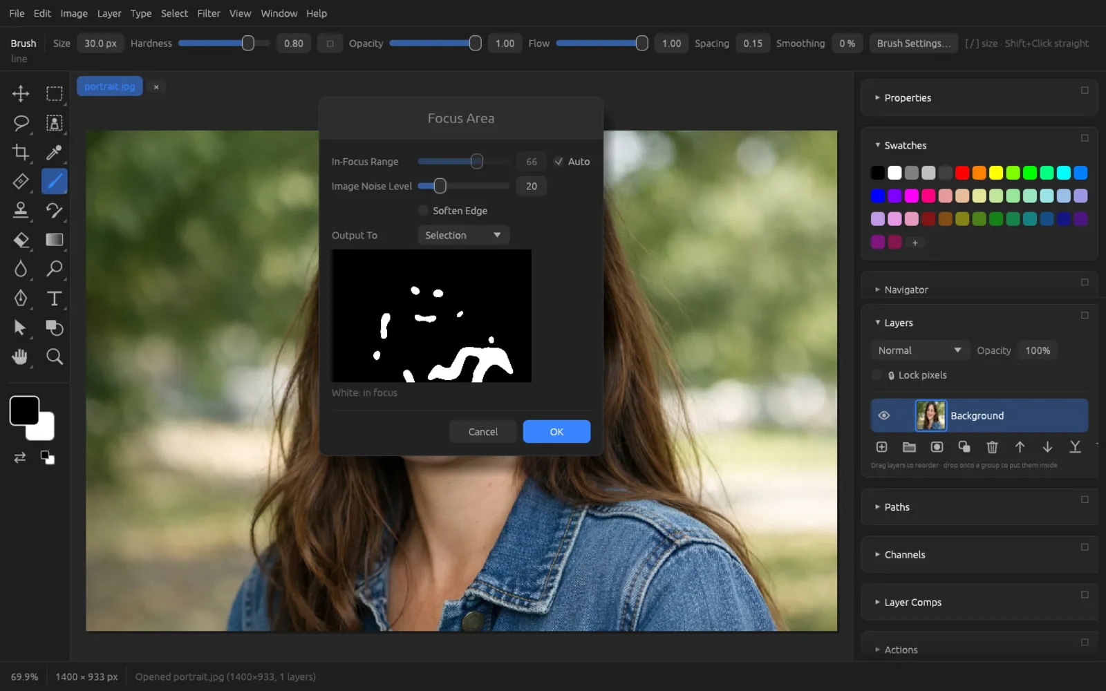 Focus Area dialog with black-and-white preview